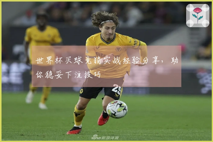 世界杯买球竞猜实战经验分享，助你稳妥下注技巧