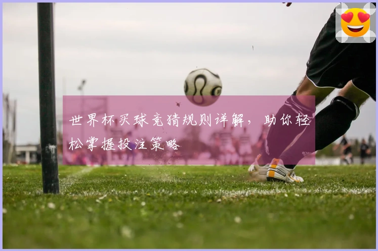 世界杯买球竞猜规则详解，助你轻松掌握投注策略
