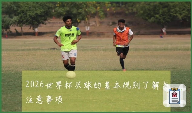2026世界杯买球的基本规则了解与注意事项