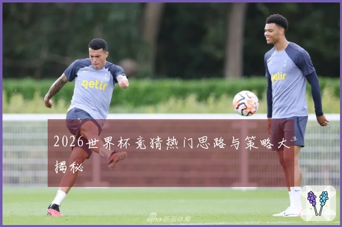 2026世界杯竞猜热门思路与策略大揭秘